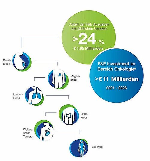 Anteil der jährlichen Ausgaben für Forschung und Entwicklung und Investitionen im Bereich Onkologie mit Darstellung der Tumorarten, für die Daiichi Sankyo Therapien entwickelt. 