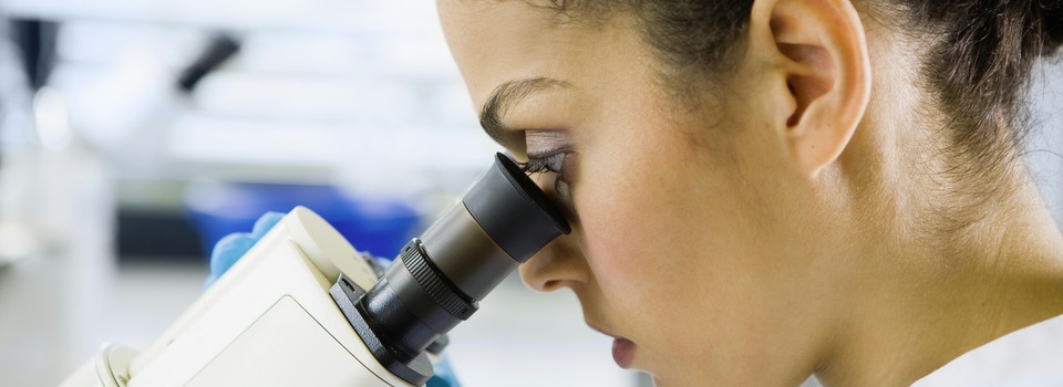 Forschung und Entwicklung